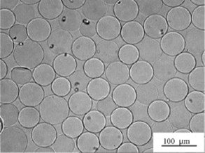 Agarose Microsphere Preparation