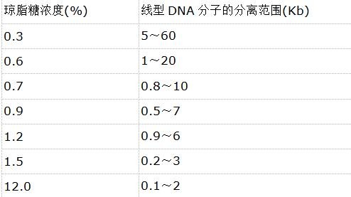 琼脂糖浓度与DNA分离范围关系