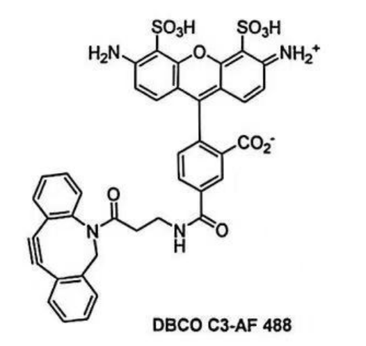 DBCO C3-AF 488