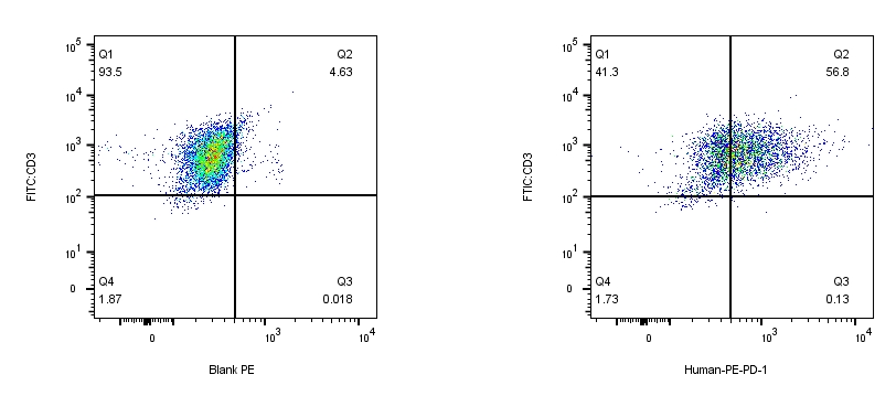 RPE Mouse anti-Human PD-1(CD279)Antibody（J116）