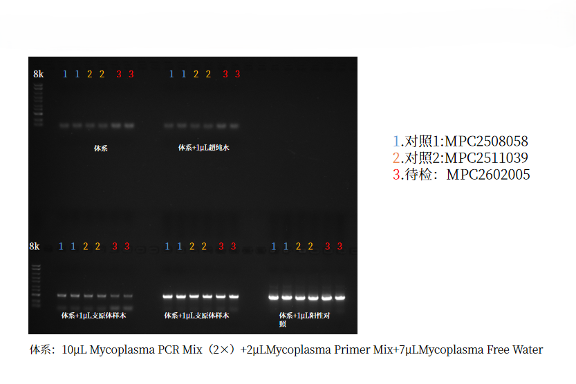 支原体检测试剂盒（PCR法）
