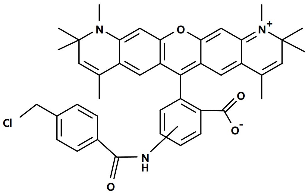 Red CMTPX（红色荧光示踪探针）