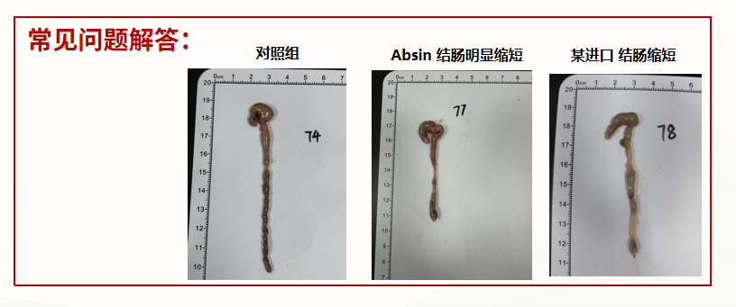 硫酸葡聚糖钠盐（分子量：3.6-5万）