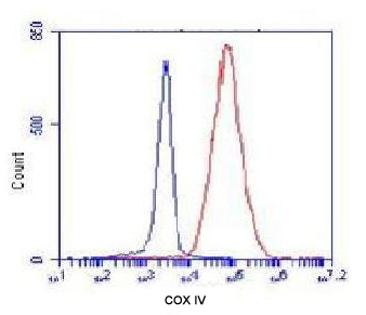 Mouse anti-COX IV Monoclonal Antibody(4D11)