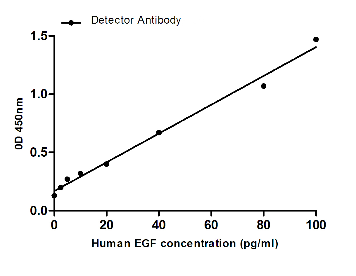 Mouse anti-EGF Monoclonal Antibody(5E9)