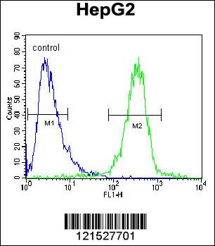 Rabbit anti-IGF2BP2 Polyclonal Antibody(C-term)