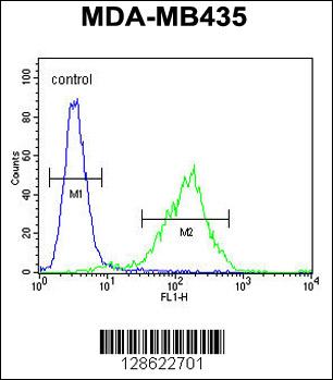 Rabbit anti-CK073 Polyclonal Antibody(N-term)