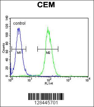 Rabbit anti-LIPC Polyclonal Antibody(N-term)