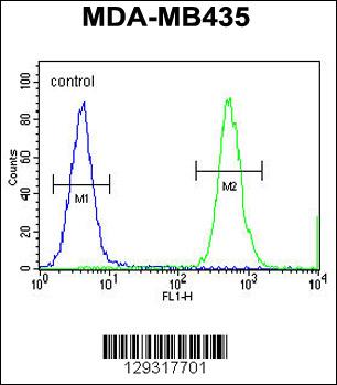 Rabbit anti-HNRNPCL1 Polyclonal Antibody(C-term)