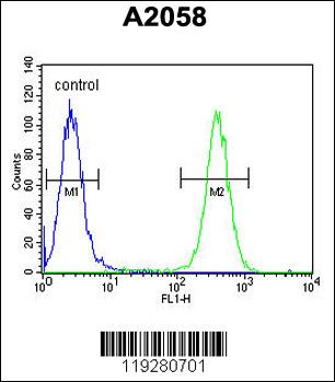 Rabbit anti-FKBP10 Polyclonal Antibody(C-term)