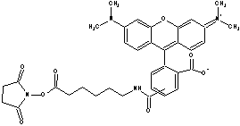 5(6)-TAMRA-X, SE