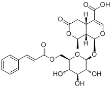 6'-O-反式-肉桂酰 8-表金吉苷酸