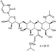 Tunicamycin from Streptomyces lysosuperficus