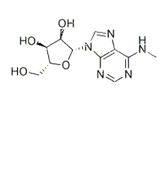 N6-methyladenosine