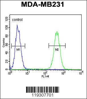 Rabbit anti-FKBP1A Polyclonal Antibody(C-term)