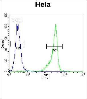 Rabbit anti-p16INK4a Polyclonal Antibody(C-term E119)