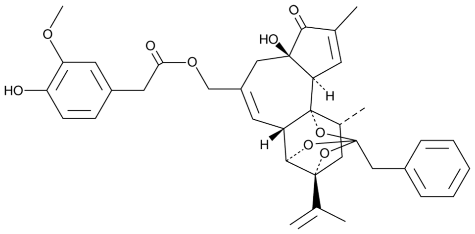 树脂毒素