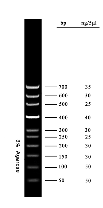 50bp Ladder DNA Marker