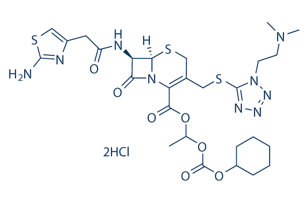 Cefotiam Hexetil Hydrochloride