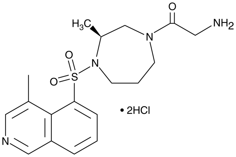 (S)-Glycyl-H-1152 (hydrochloride)