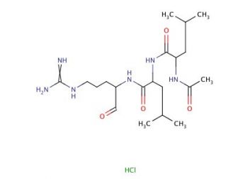 Leupeptin hydrochloride