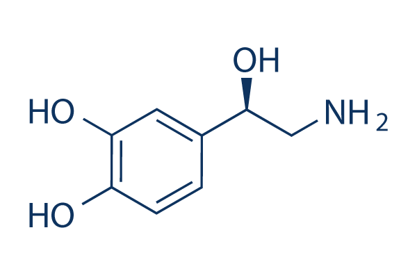 L-Noradrenaline