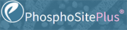 PhosphoSite Plus