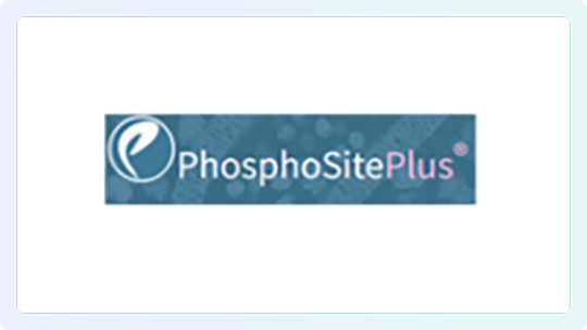 PhosphoSite Plus