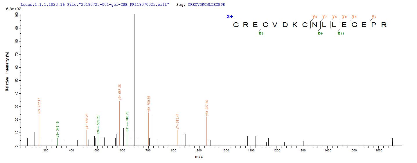 Recombinant Human EGFR Protein(N-10His,C-Myc)