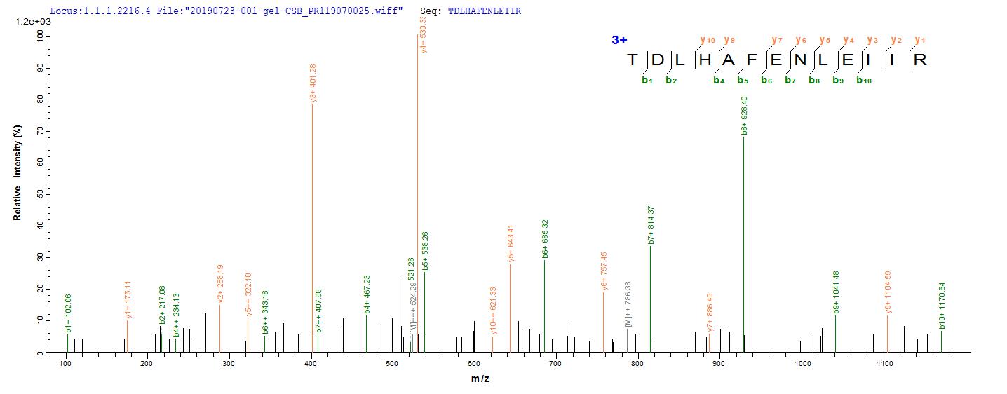 Recombinant Human EGFR Protein(N-10His,C-Myc)