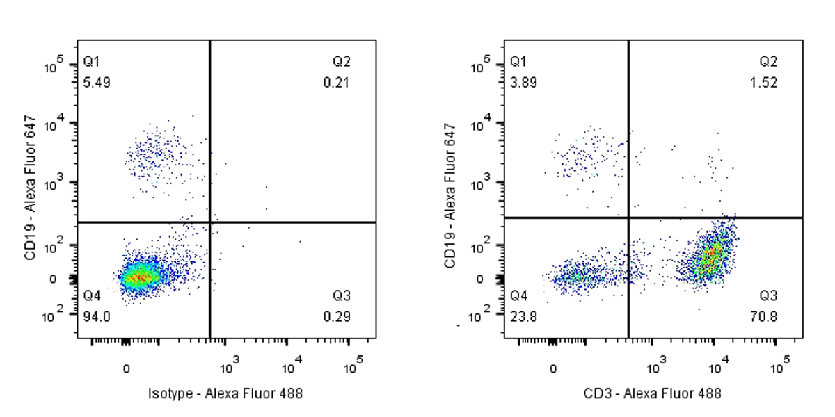 Invivo anti-Human CD3 Monoclonal Antibody(OKT3)