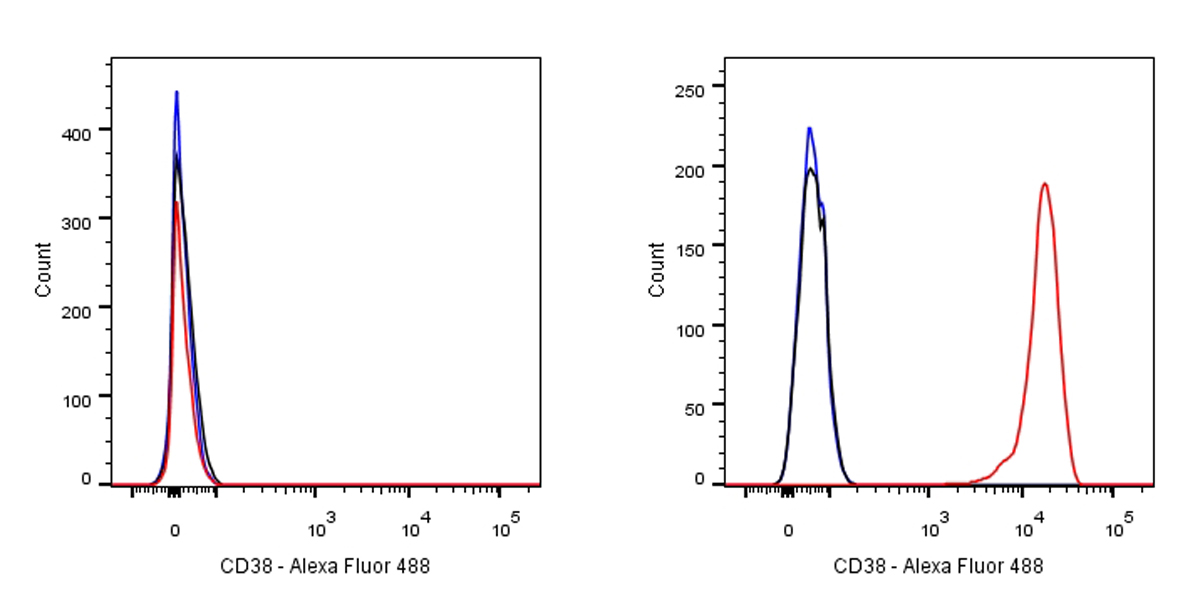 Rabbit anti-CD38 Recombinant Monoclonal Antibody(031-45)