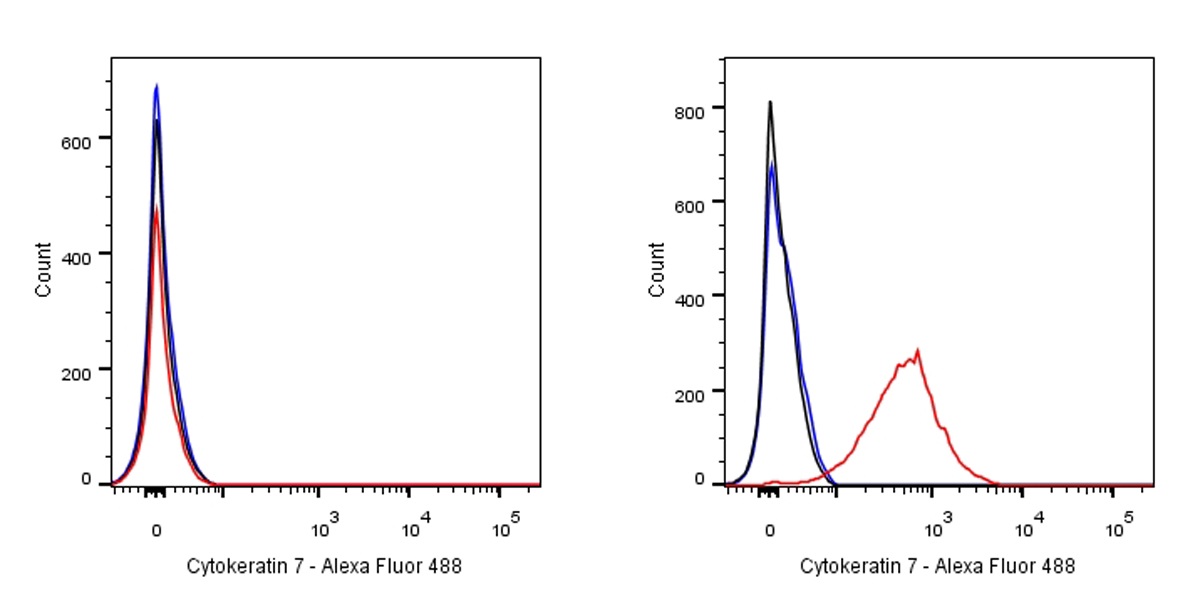 Rabbit anti-CytokeRatin 7 Recombiant Monoclonal Antibody(121-17)