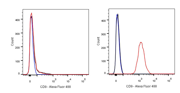 Rabbit anti-CD9 Recombinant Monoclonal Antibody(143-53)