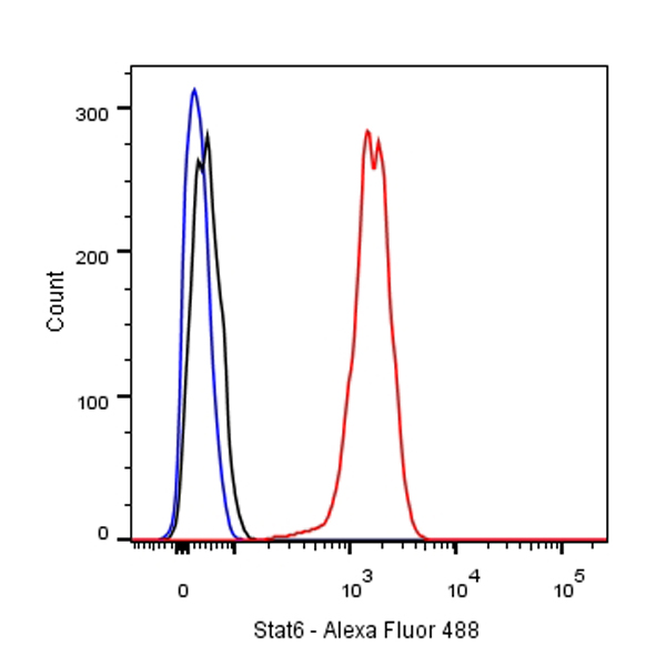 Rabbit anti-Stat6 Recombinant Monoclonal Antibody(337-32)