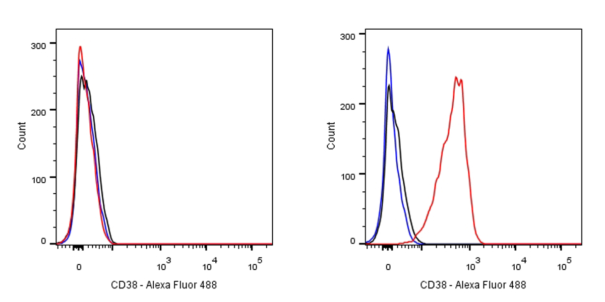 Rabbit anti-CD38 Recombinant Monoclonal Antibody(AF488 conjugate) (031-45-2)
