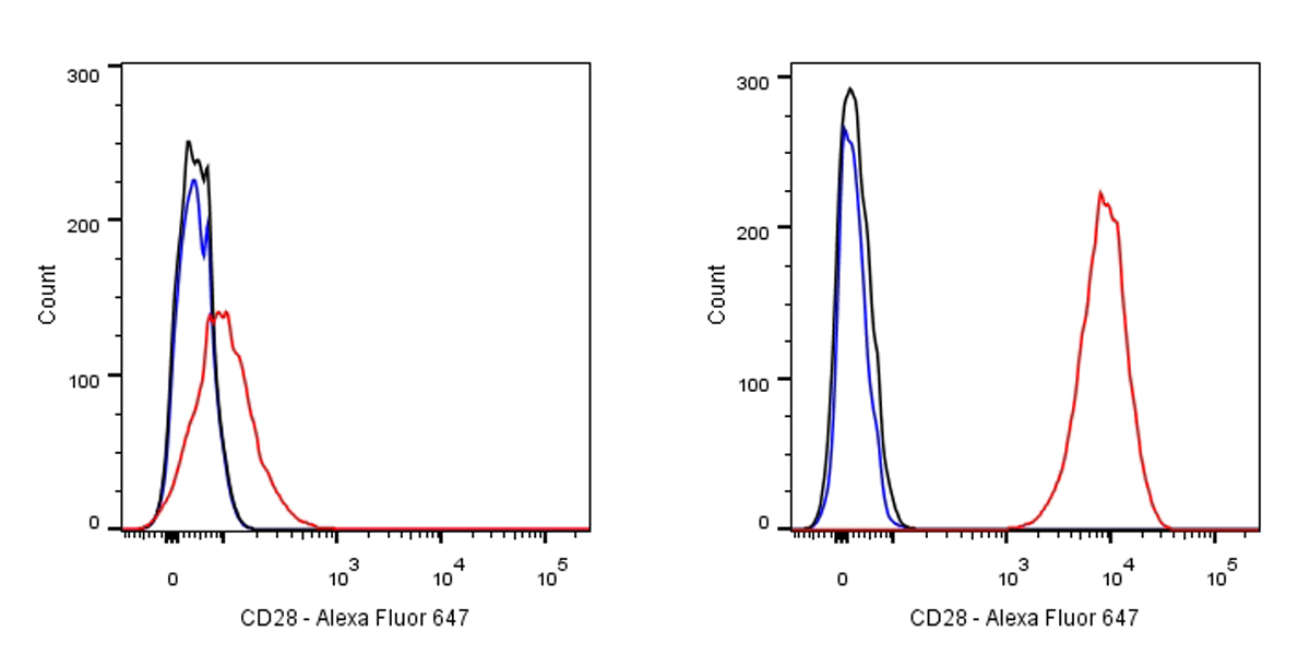 Mouse anti-CD28 Recombinant Monoclonal Antibody(AF647 Conjugate)(15E8)