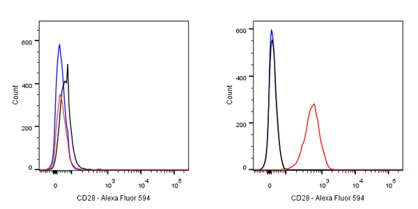 Mouse anti-CD28 Recombinant Monoclonal Antibody(AF594 Conjugate)(15E8)