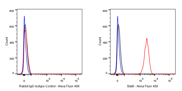 Rabbit IgG Isotype Control(S-240-1)
