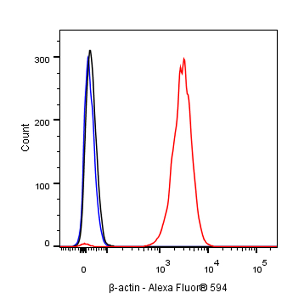 Rabbit anti-β-Actin Recombinant Monoclonal Antibody(AF594 Conjugate)(S-R156)
