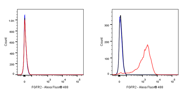 Rabbit anti-FGFR2 Recombinant Monoclonal Antibody(S-R239)