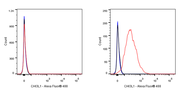 Rabbit anti-CHI3L1 Recombinant Monoclonal Antibody(S-324-38)