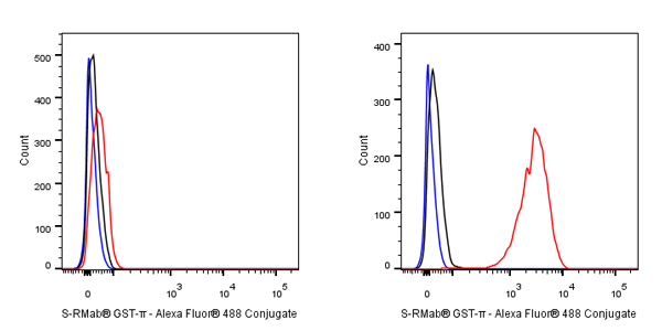 Rabbit anti-GST-π Recombinant Monoclonal Antibody(561-78)