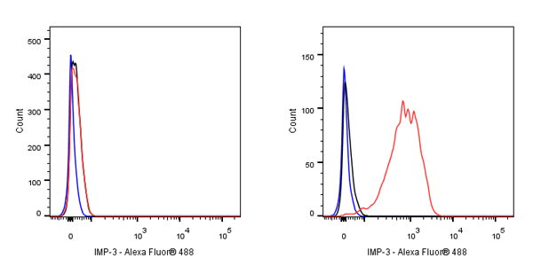 Rabbit anti-IMP-3 Recombinant Monoclonal Antibody(S-439-10)