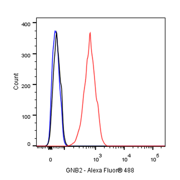 Rabbit anti-GNB2 Recombinant Monoclonal Antibody(S-645-10)