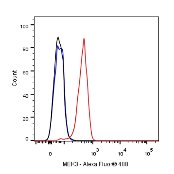 Rabbit anti-MEK3 Recombinant Monoclonal Antibody(S-835-23)