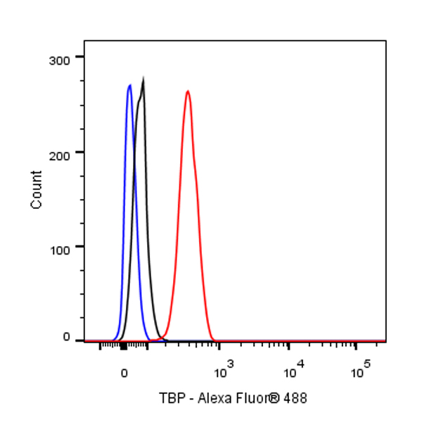 Rabbit anti-TBP Recombinant Monoclonal Antibody(S-886-57)