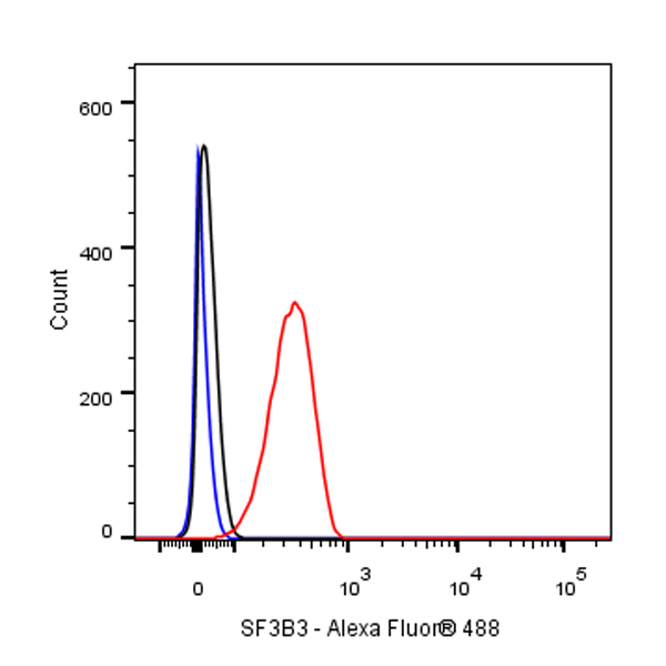 Rabbit anti-MTAP Recombinant Monoclonal Antibody(S-R363)