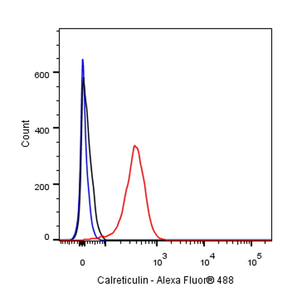 Rabbit anti-Calreticulin Recombinant Monoclonal Antibody(S-R353)