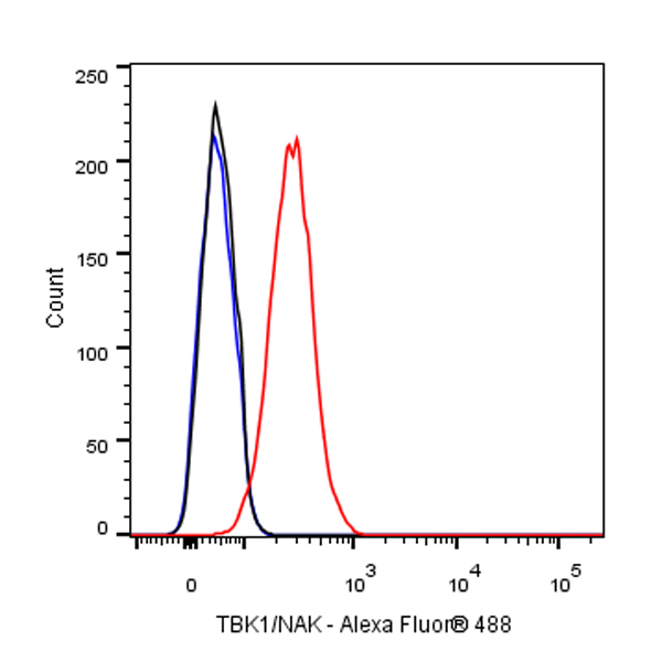 Rabbit anti-TBK1 Recombinant Monoclonal Antibody(S-658-50)